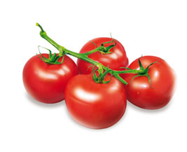 Tomato