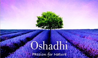 Oshadhi Essential Oils