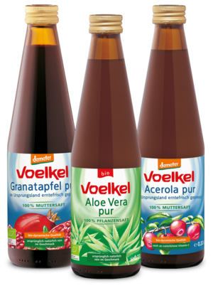 Voelkel Fitness Cocktail